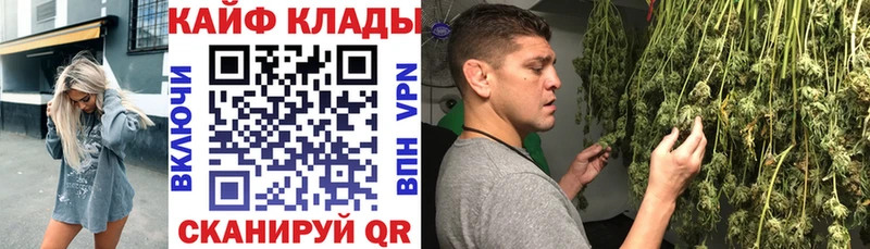 Где найти наркотики Орлов ГАШ A-PVP МЕФ Псилоцибиновые грибы COCAIN МАРИХУАНА