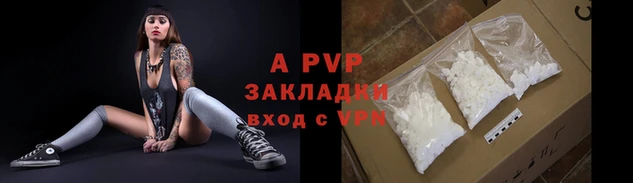 PSILOCYBIN Михайлов
