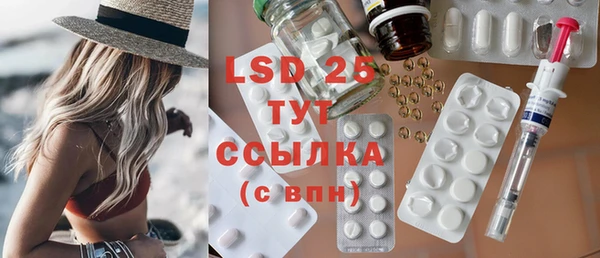PSILOCYBIN Михайлов
